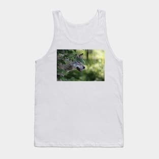 Timber Wolf Tank Top